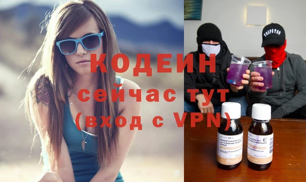apvp Нея