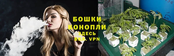 spice Новодвинск
