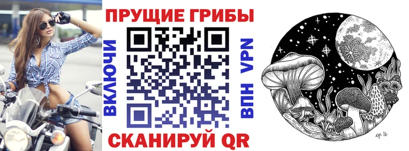 kraken ONION  даркнет сайт  Олонец  Галлюциногенные грибы ЛСД 